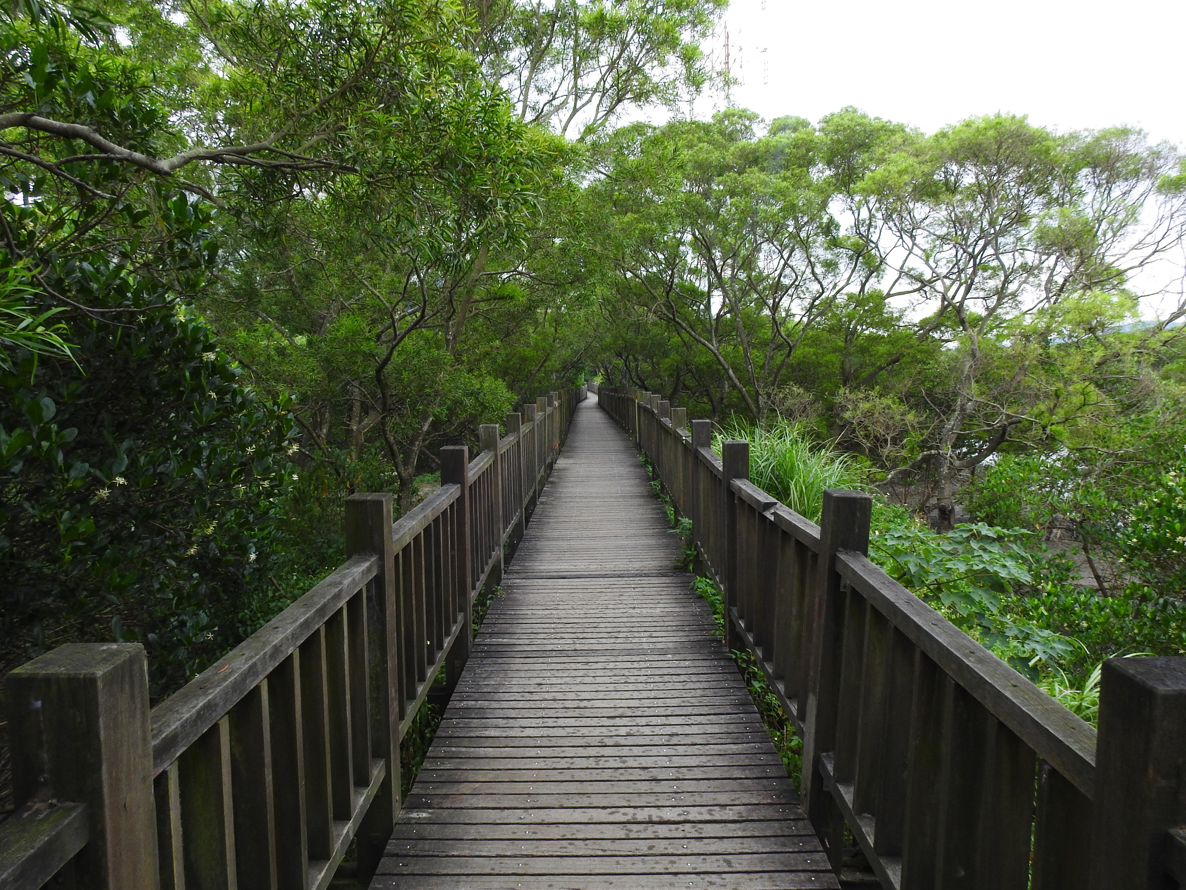 生態教育中心館鄰近淡水河紅樹林自然保留區