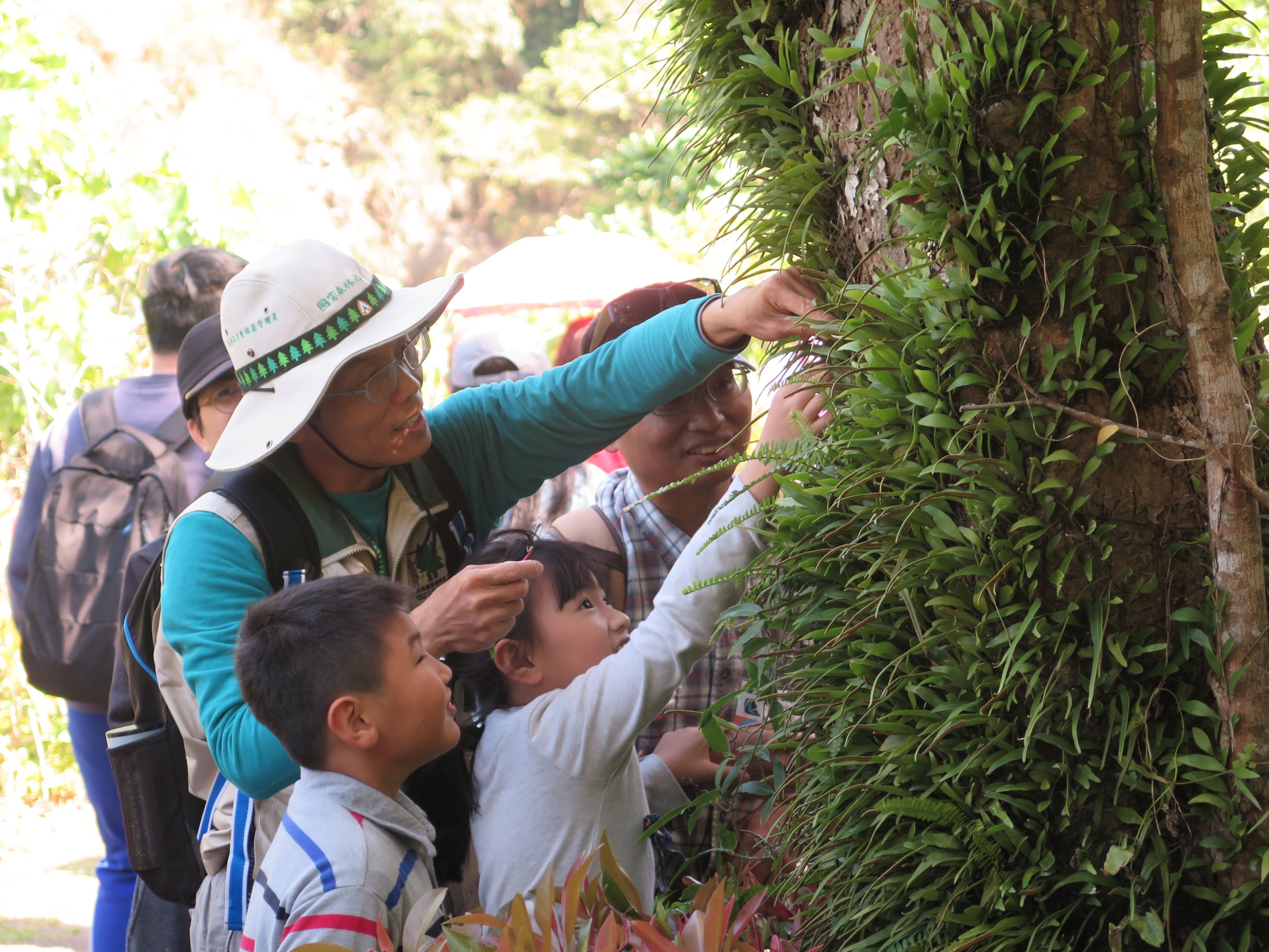 學生辨識植物