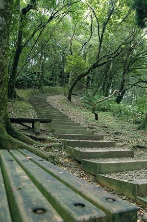 自導式步道