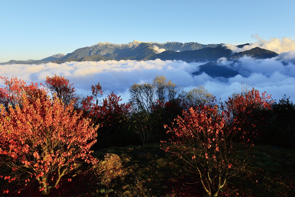 小笠原山-陳坤志