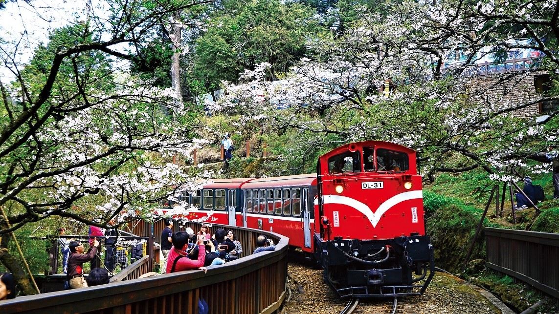 阿里山林業鐵路