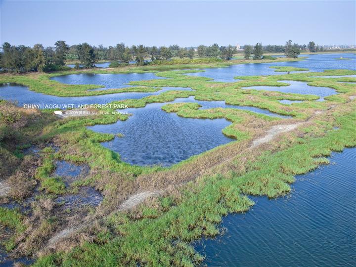 濕地與陸景