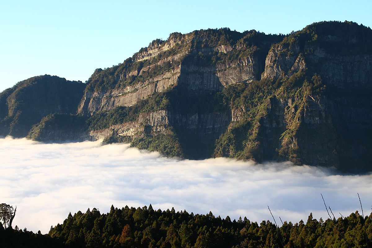 阿里山國家森林遊樂區