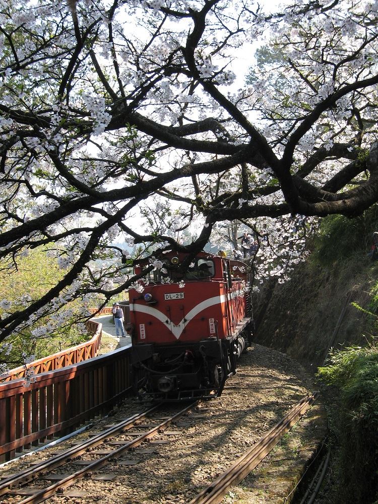 阿里山森林火車