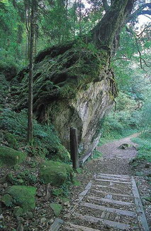 大凍山樹石盟