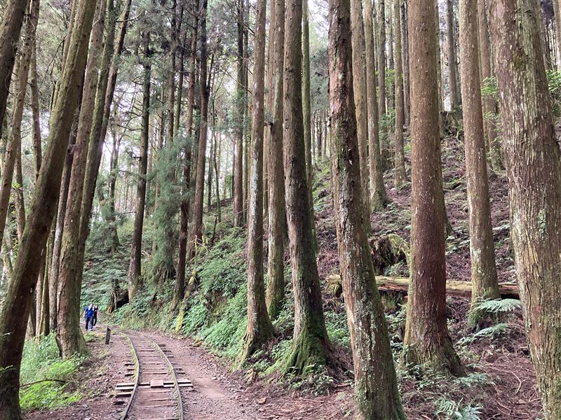 特富野古道