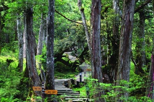 檜木原始林步道