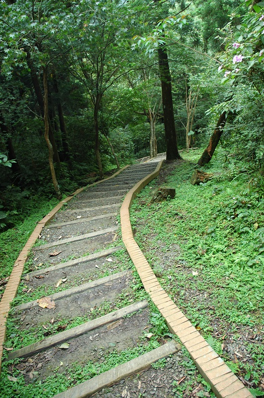 自導式步道