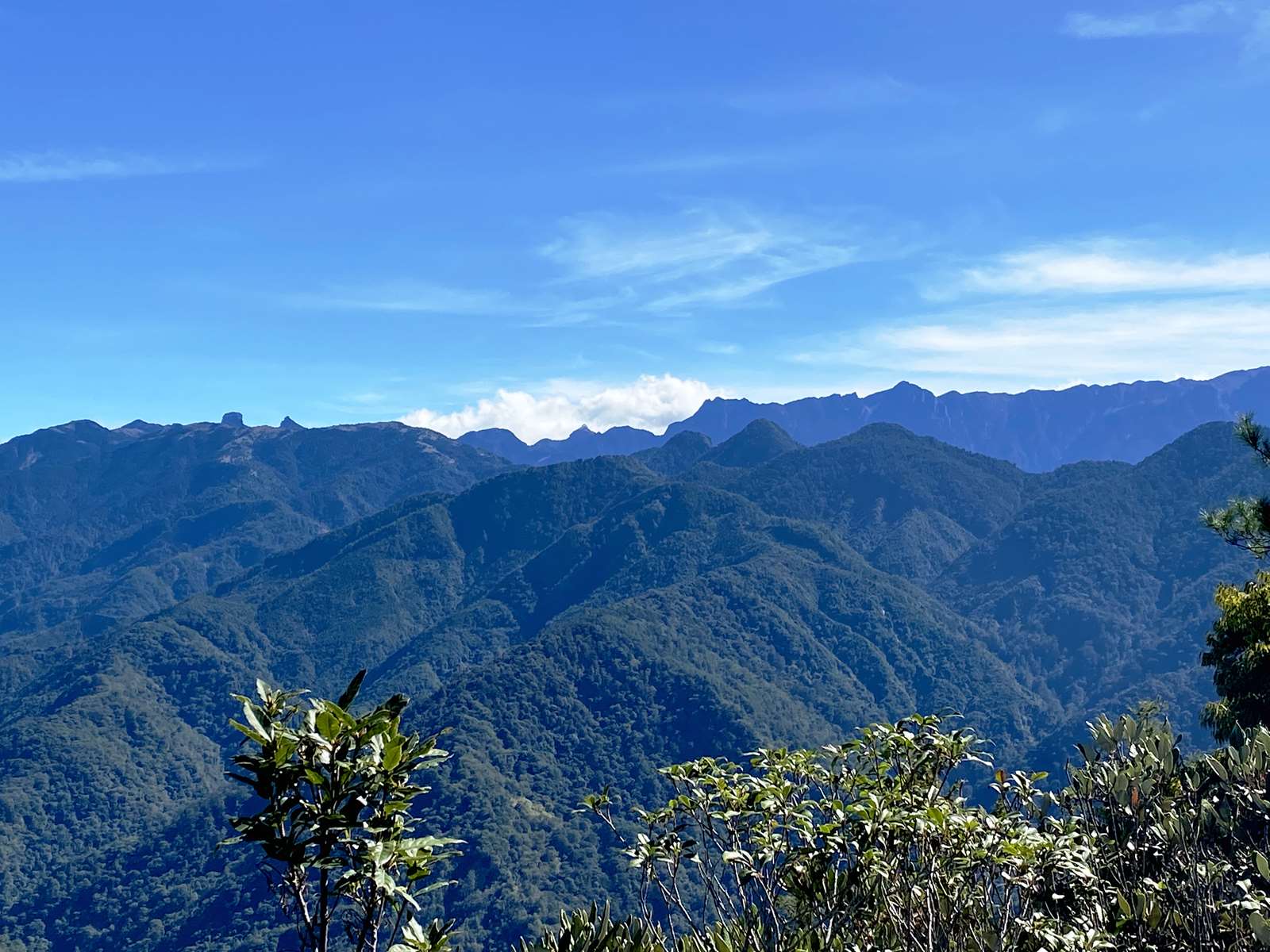 榛山步道