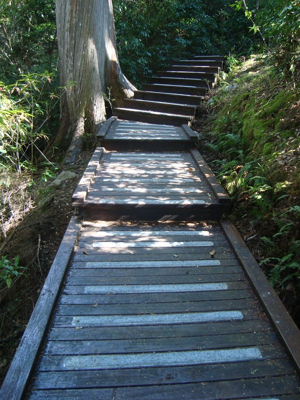 森林浴步道