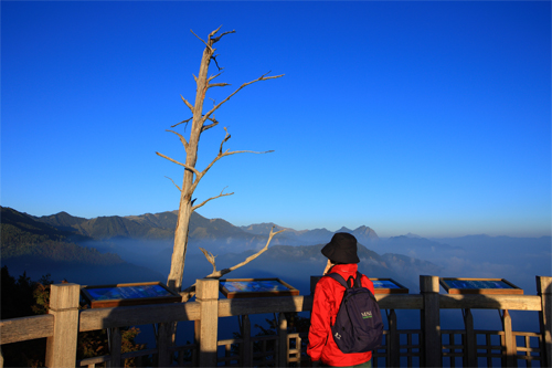 埡口觀景步道