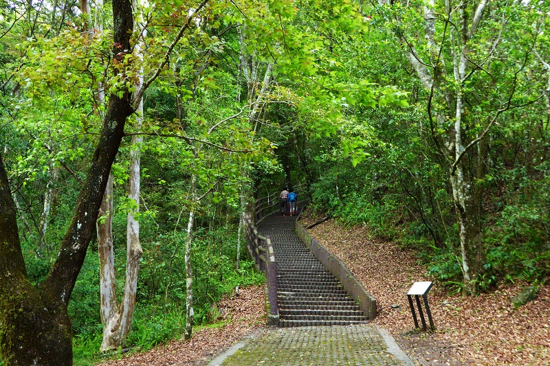 森林公園步道