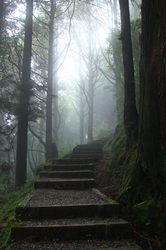 塔山步道