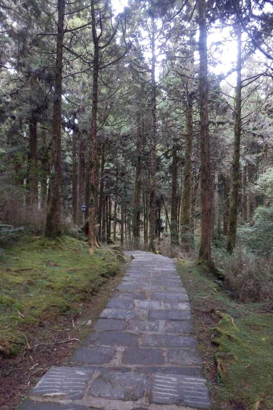 祝山觀日步道