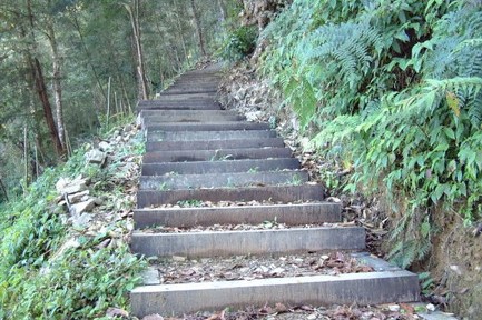 秋海棠步道