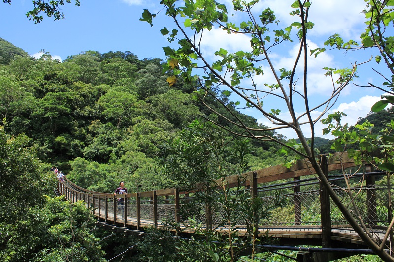 沿山步道