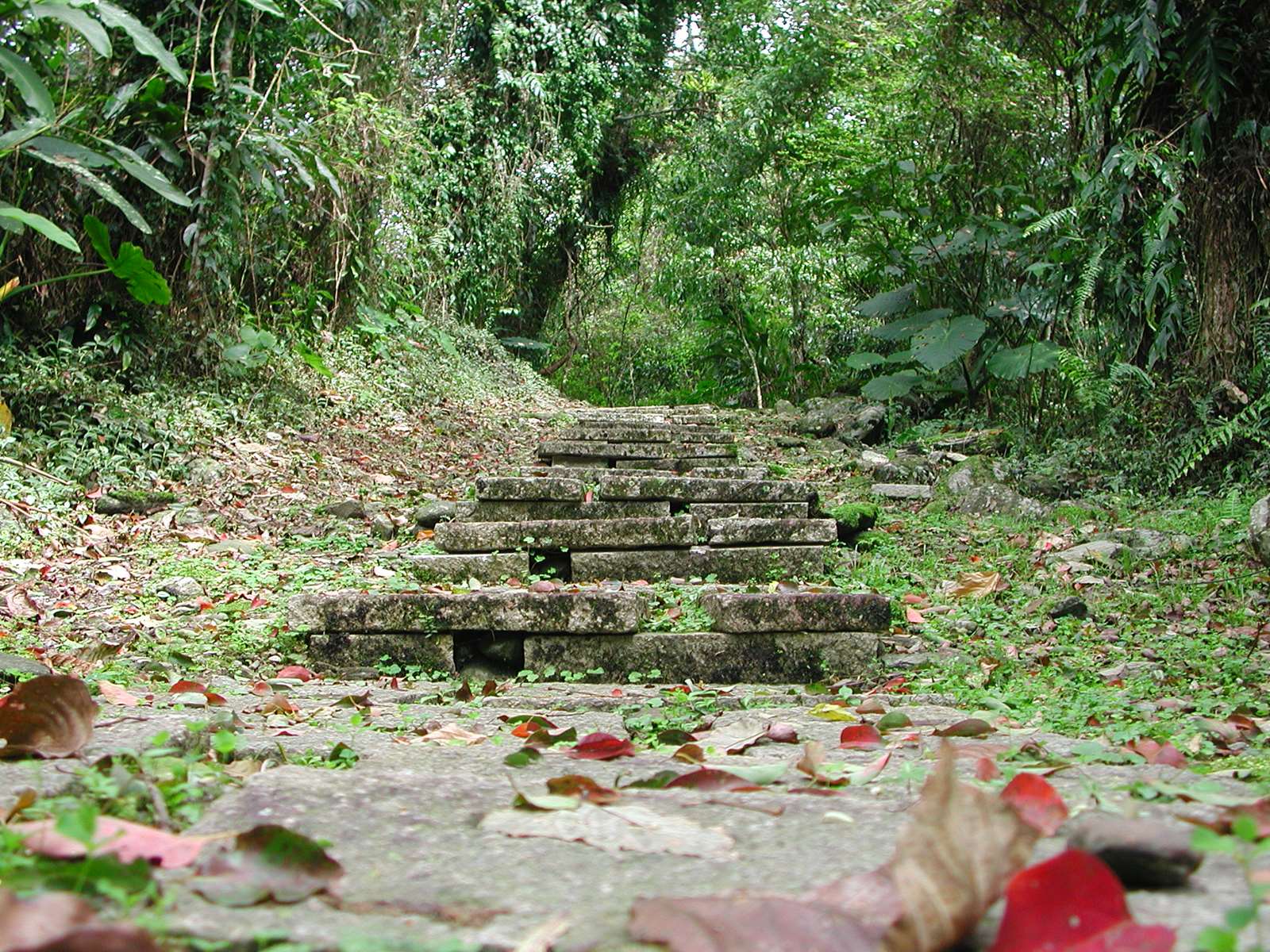 環山步道1