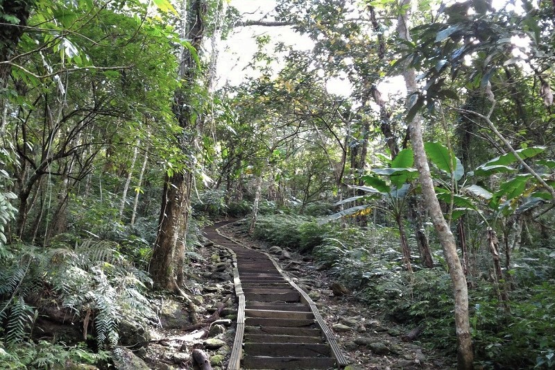 賞鳥步道