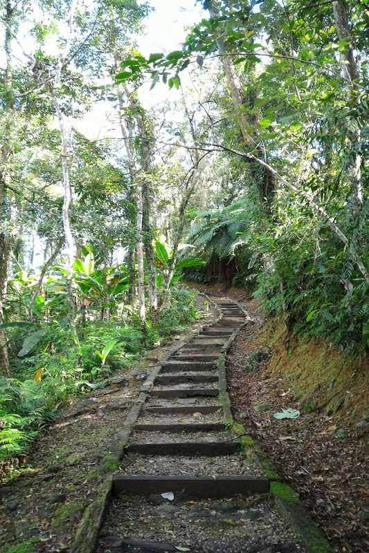 健身步道