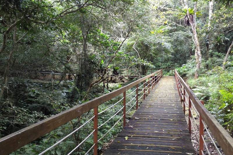 野餐景觀步道