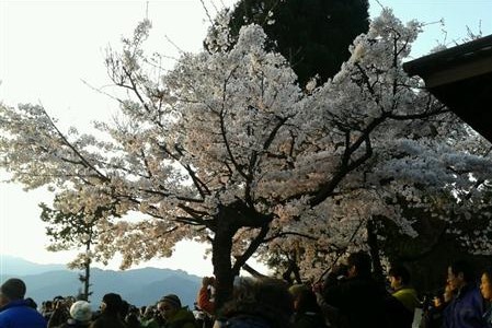 祝山の日の出