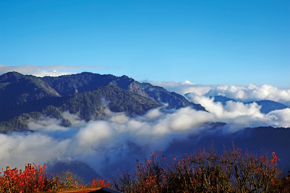 阿里山新八景-小笠原山