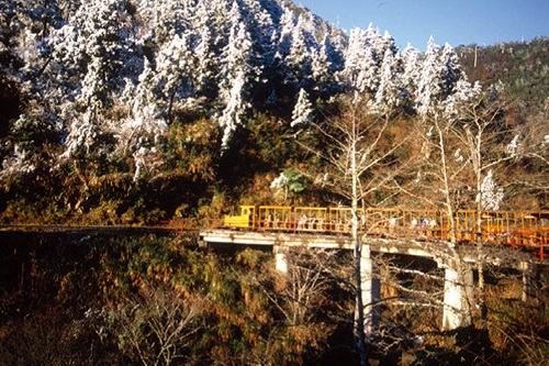 蹦蹦車冬季景觀