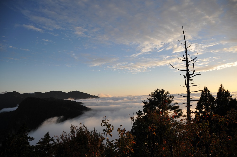 阿里山雲海