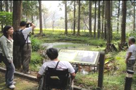 介紹生態池在自然所扮演的角色及功能