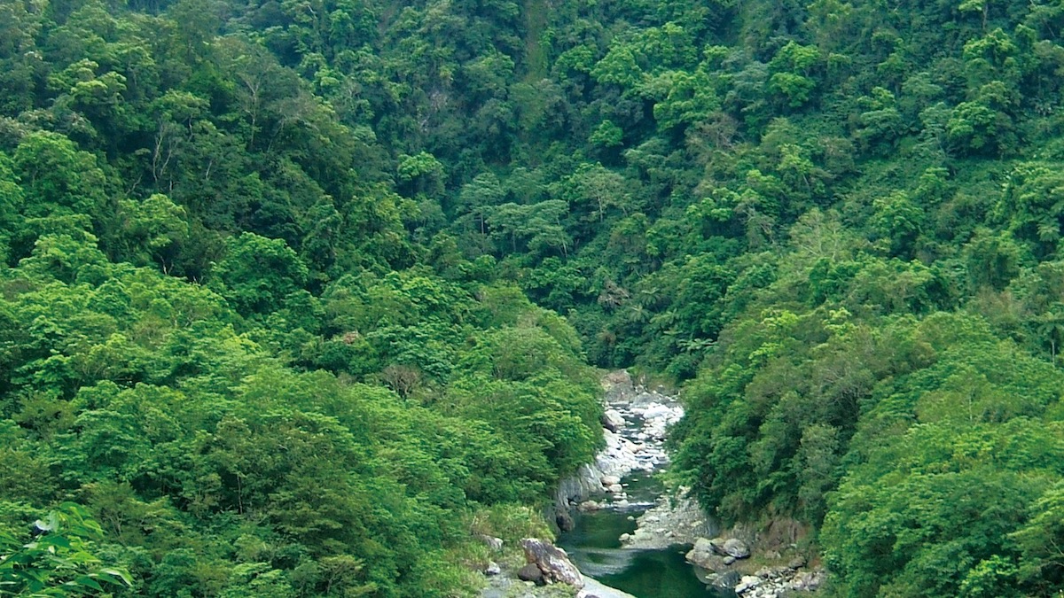 山景與溪流