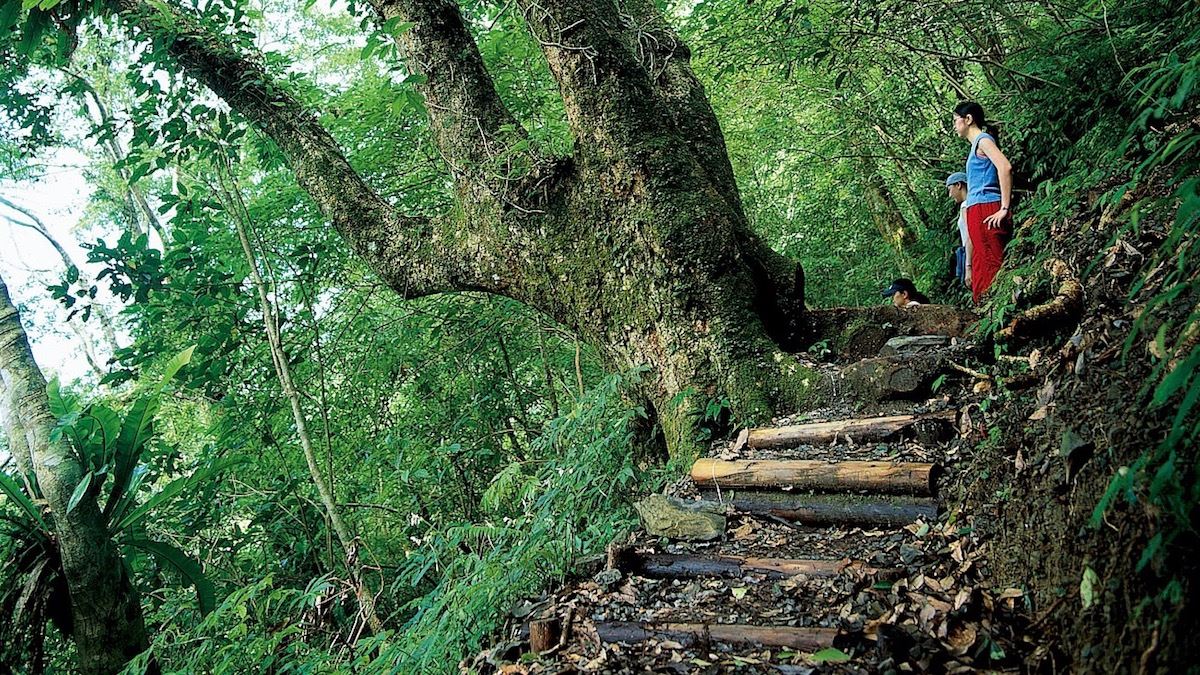 聖母登山步道大圖3