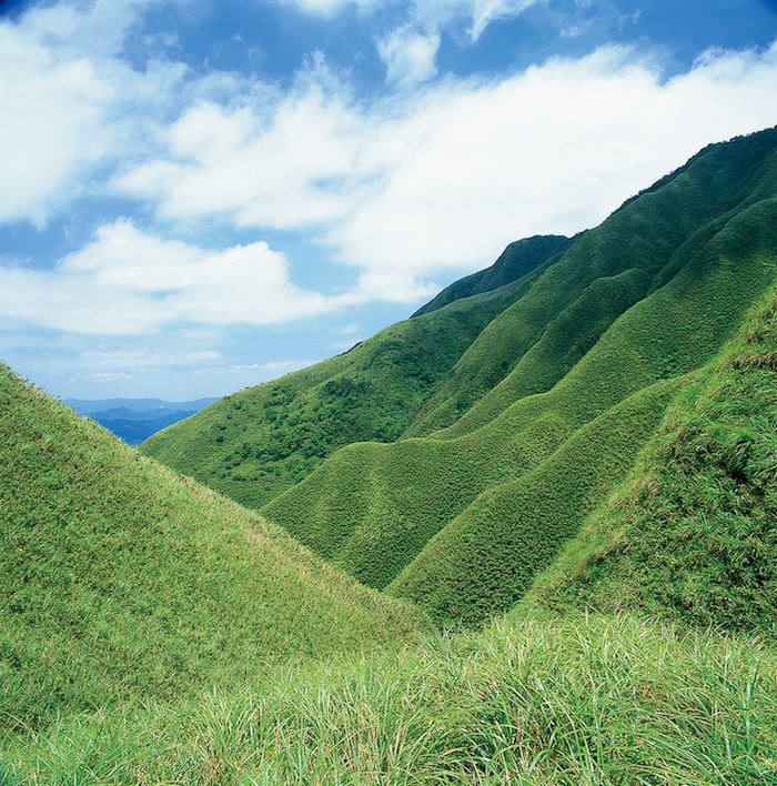 聖母登山步道草原