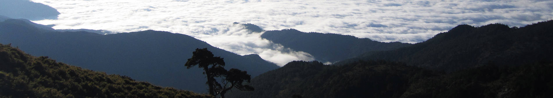 山屋營地